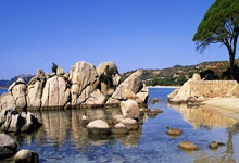 大连一方战胜强敌，喜迎胜利